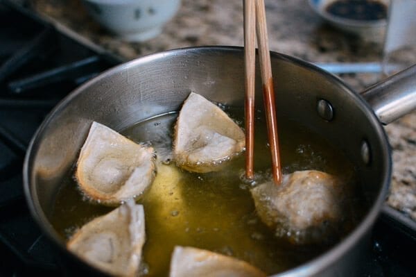 Fried Wontons, by jcghk.dfhdjkvfj.cf