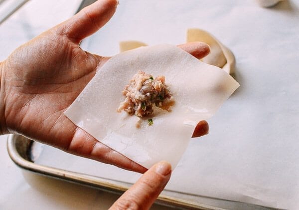 Sichuan Spicy Wontons, by jcghk.dfhdjkvfj.cf