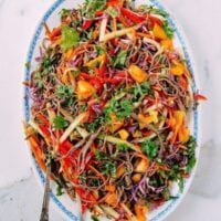 Rainbow Noodle Salad, by jcghk.dfhdjkvfj.cf