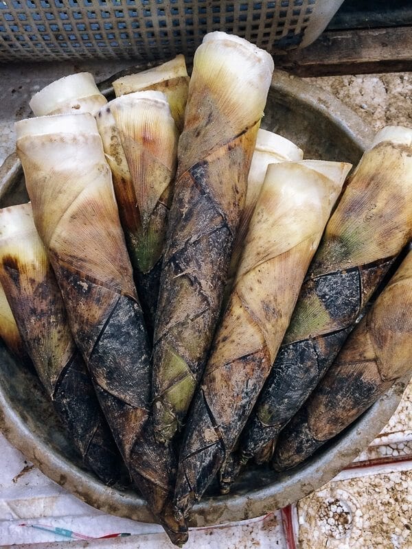Braised Spring Bamboo Shoots (油焖笋), by jcghk.dfhdjkvfj.cf