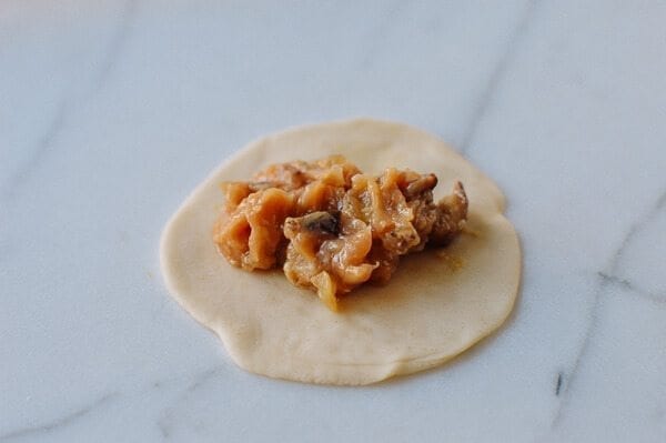 Chicken Dumplings with Shiitake Mushrooms, by jcghk.dfhdjkvfj.cf
