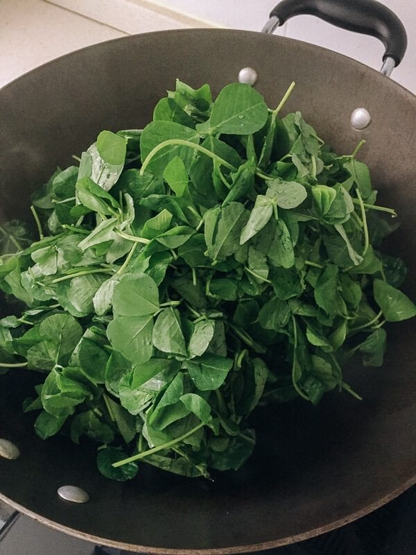 Sautéed Edible Clover (Chao Tou - 炒头) wok with clover, by jcghk.dfhdjkvfj.cf