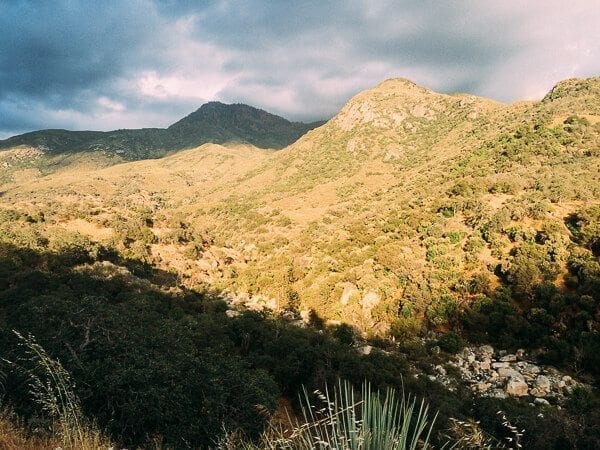 Sequoia National Park, by jcghk.dfhdjkvfj.cf