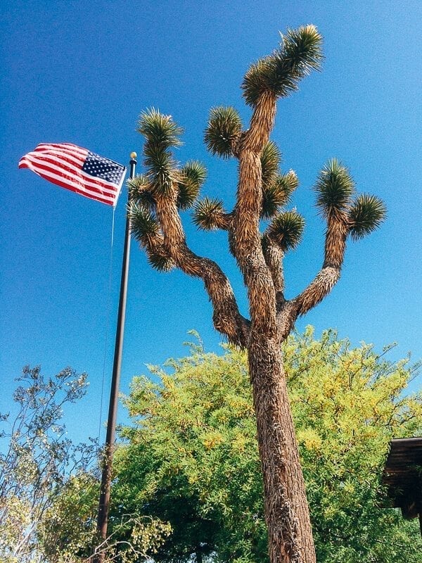 Joshua Tree Visitor's Center
