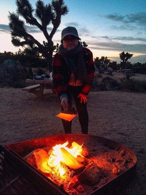 joshua-tree-3