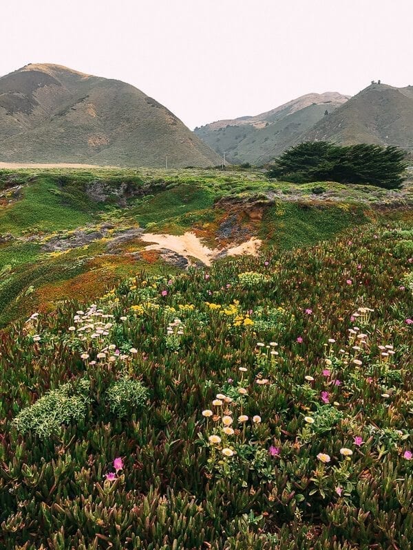 Big Sur, by jcghk.dfhdjkvfj.cf