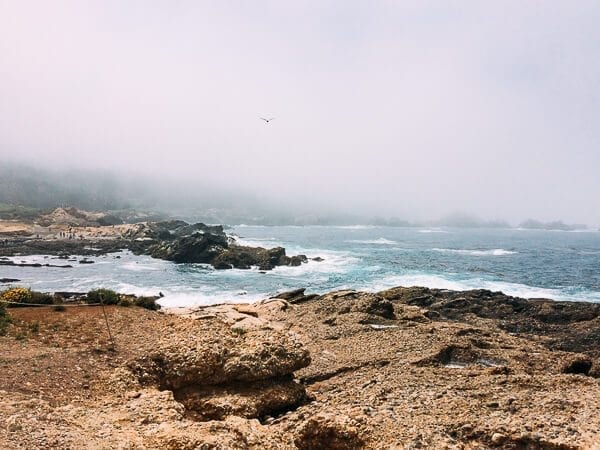 Point Lobos, by jcghk.dfhdjkvfj.cf