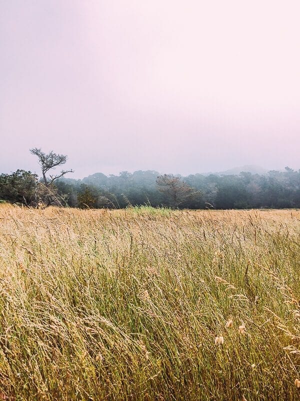 Point Lobos, by jcghk.dfhdjkvfj.cf