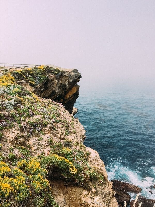 Point Lobos, by jcghk.dfhdjkvfj.cf