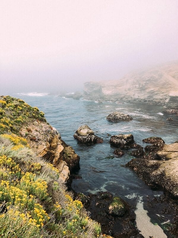 Point Lobos, by jcghk.dfhdjkvfj.cf