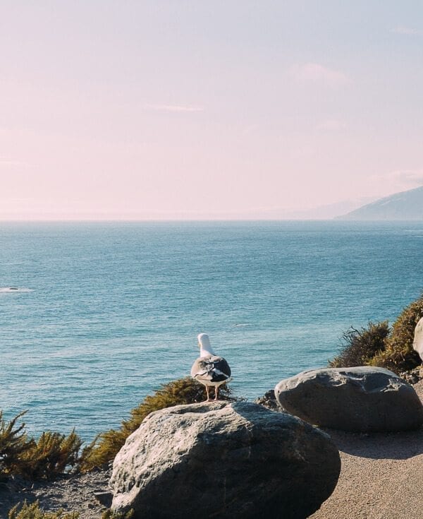 Pacific Coast Highway, by jcghk.dfhdjkvfj.cf
