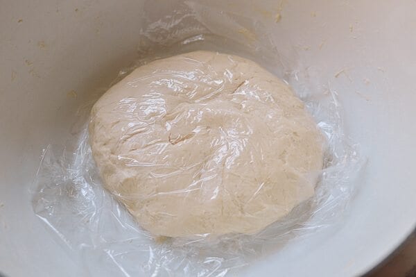 resting dough under plastic for Shanghai Scallion Pancakes, by jcghk.dfhdjkvfj.cf