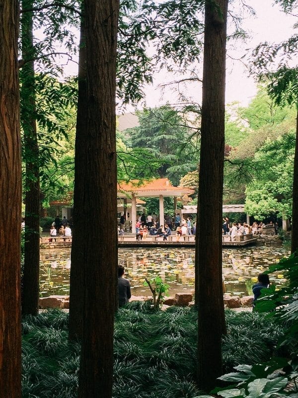 Seeking Love in Shanghai: The People’s Park Matchmaking Corner, by jcghk.dfhdjkvfj.cf