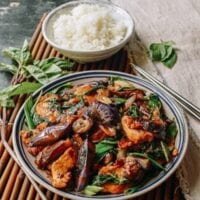 Japanese Eggplant Stir-fry with Chicken & Basil, by jcghk.dfhdjkvfj.cf
