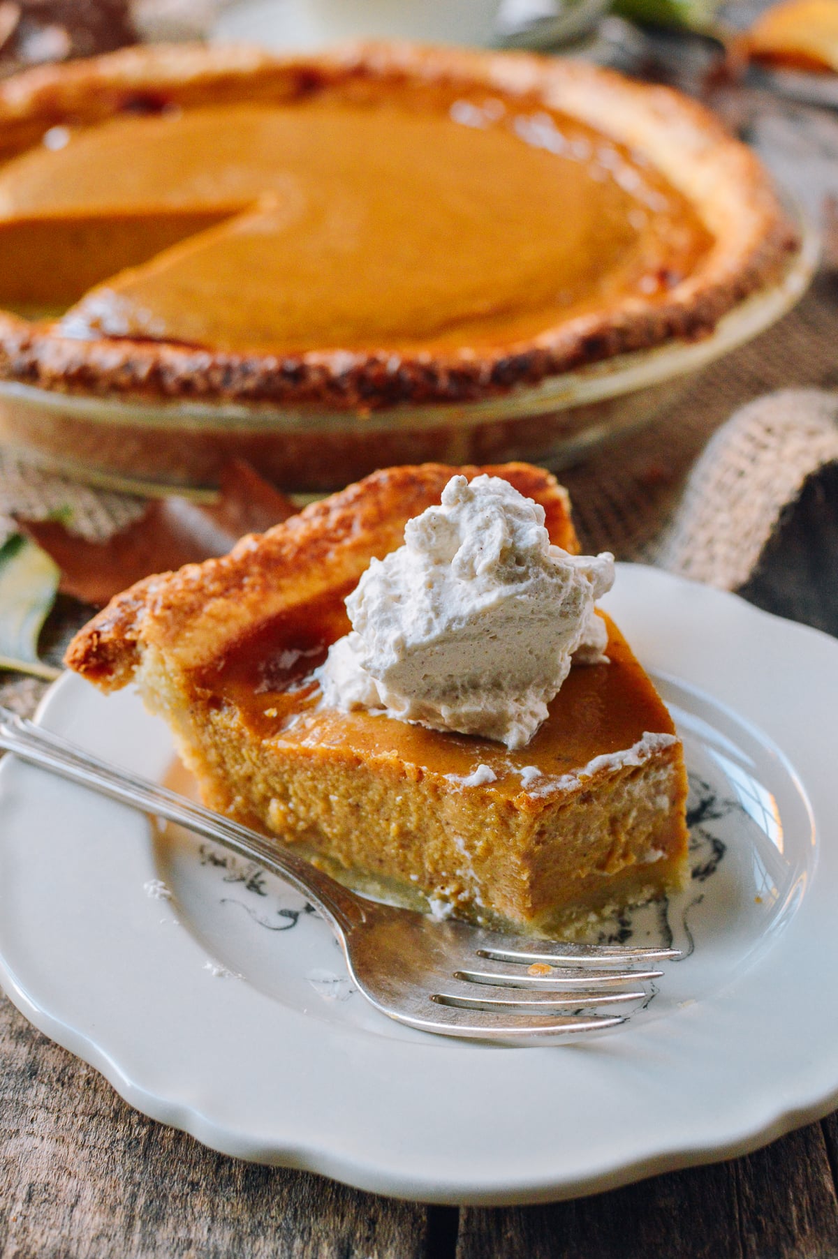 Butternut Squash Pie, by jcghk.dfhdjkvfj.cf