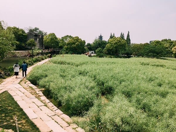 Wuzhen, by jcghk.dfhdjkvfj.cf