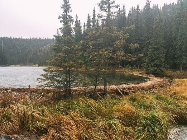 Beaver Dam