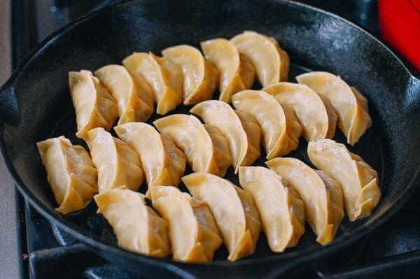Japanese Gyoza Dumplings, by jcghk.dfhdjkvfj.cf