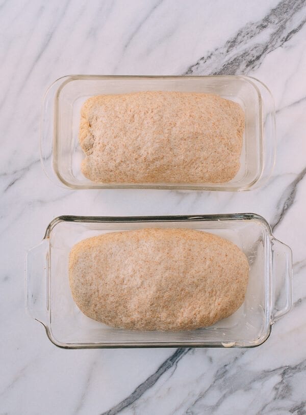 Perfect Whole Wheat Bread, by jcghk.dfhdjkvfj.cf