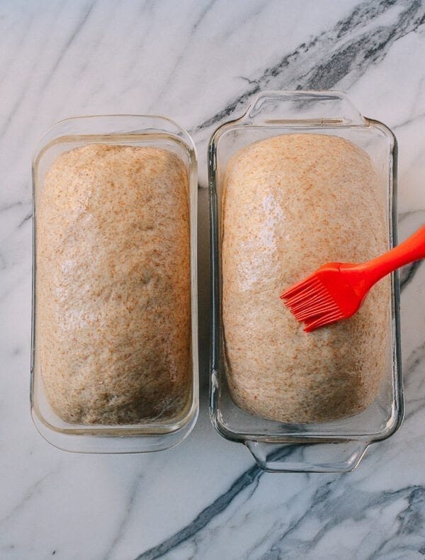 Perfect Whole Wheat Bread, by jcghk.dfhdjkvfj.cf