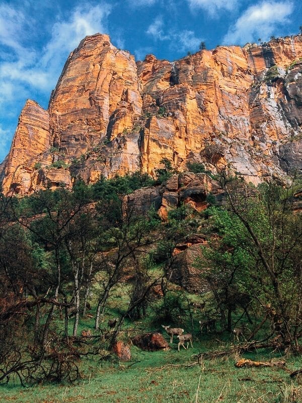 Zion National Park, by jcghk.dfhdjkvfj.cf