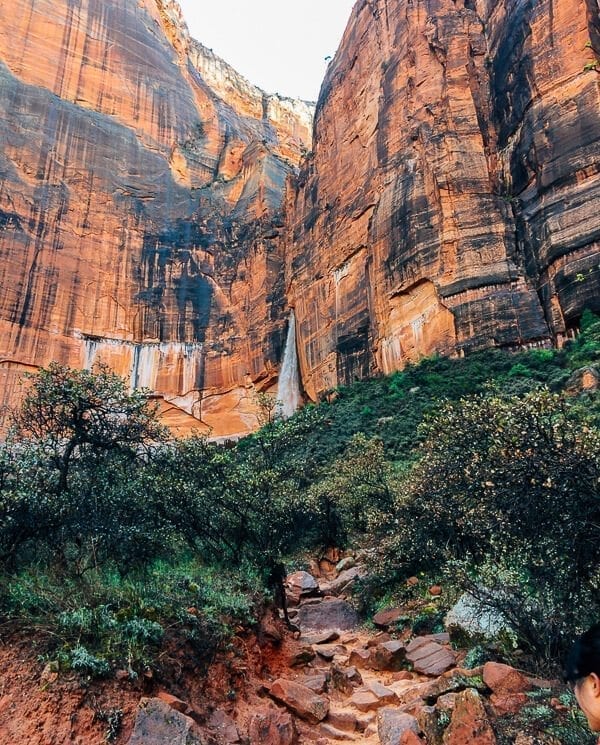 Zion Upper Emerald Pools