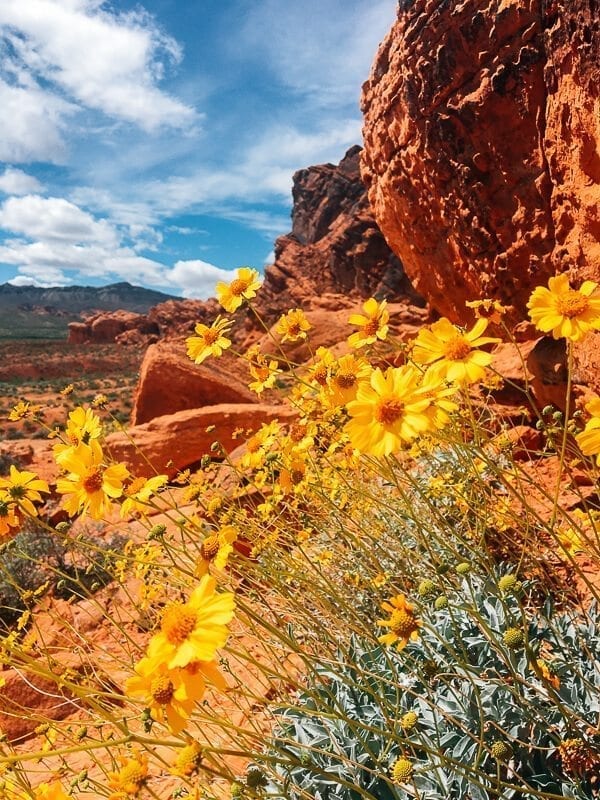 Valley of Fire State Park, by jcghk.dfhdjkvfj.cf