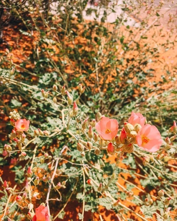 Valley of Fire State Park, by jcghk.dfhdjkvfj.cf