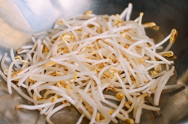 Chicken and Bean Sprouts, by jcghk.dfhdjkvfj.cf
