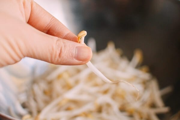 Chicken and Bean Sprouts, by jcghk.dfhdjkvfj.cf