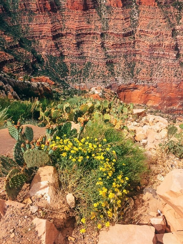 Hiking Grand Canyon, by jcghk.dfhdjkvfj.cf