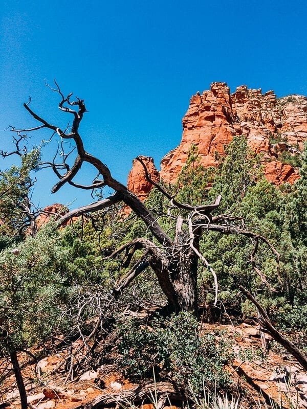 Sedona, by jcghk.dfhdjkvfj.cf