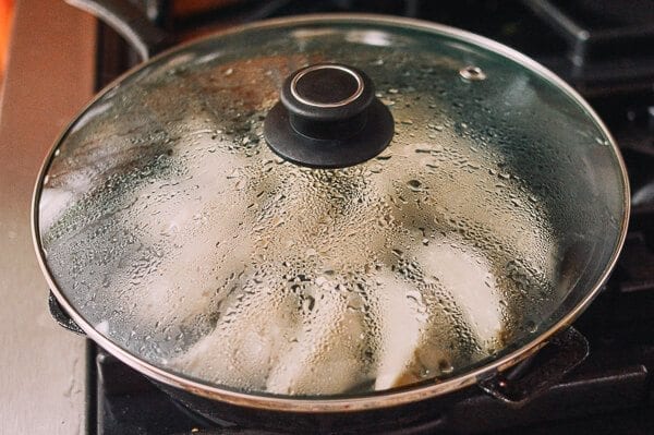 Steaming dumplings in frying pan, jcghk.dfhdjkvfj.cf