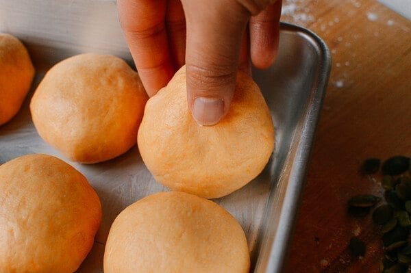 Pumpkin Dinner Rolls, by jcghk.dfhdjkvfj.cf