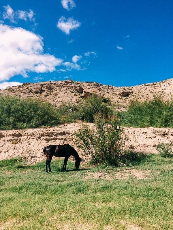 Spirit Horse Boquillas Canyon, Big Bend National Park - jcghk.dfhdjkvfj.cf