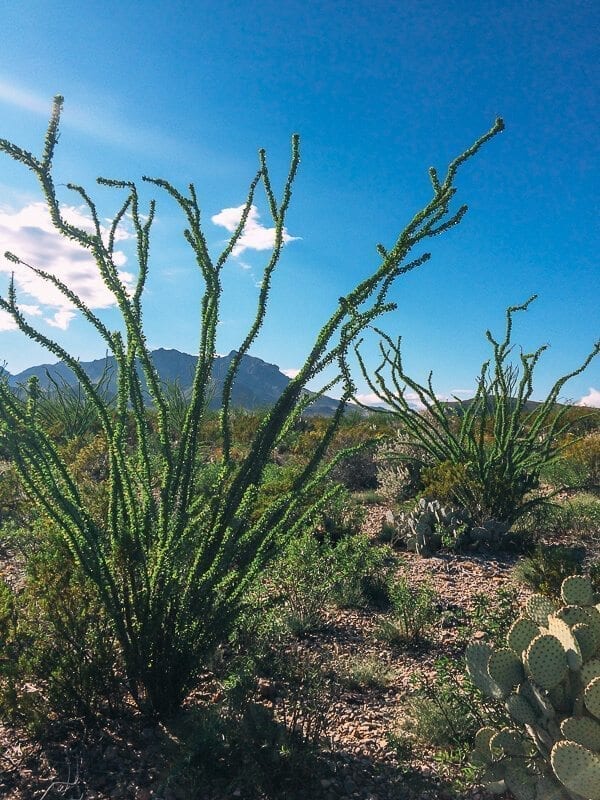 Big Bend National Park, by jcghk.dfhdjkvfj.cf