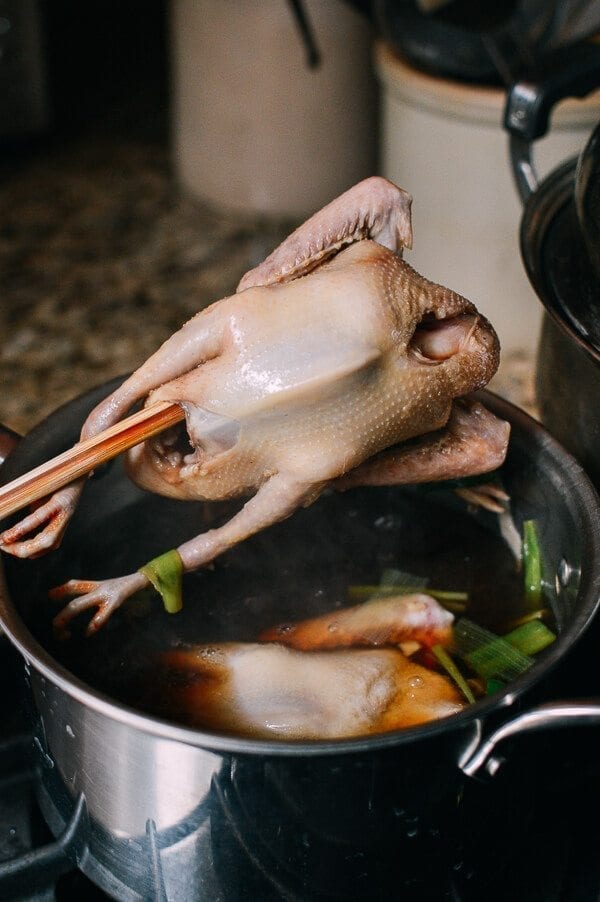 Chinese Fried Pigeon (Squab), by jcghk.dfhdjkvfj.cf