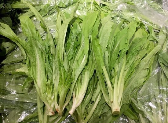 AA-Choy, by jcghk.dfhdjkvfj.cf