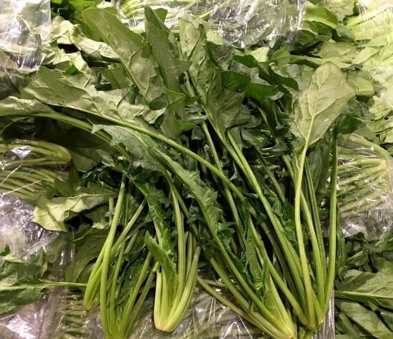Taiwanese Spinach, by jcghk.dfhdjkvfj.cf