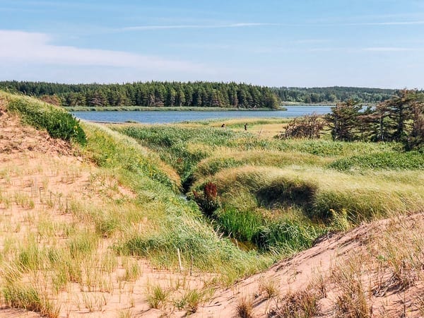 Prince Edward Island Canada - Red Cliffs and Potatoes by jcghk.dfhdjkvfj.cf
