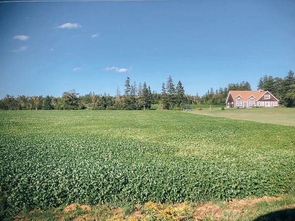 Prince Edward Island Canada - Red Cliffs and Potatoes by jcghk.dfhdjkvfj.cf