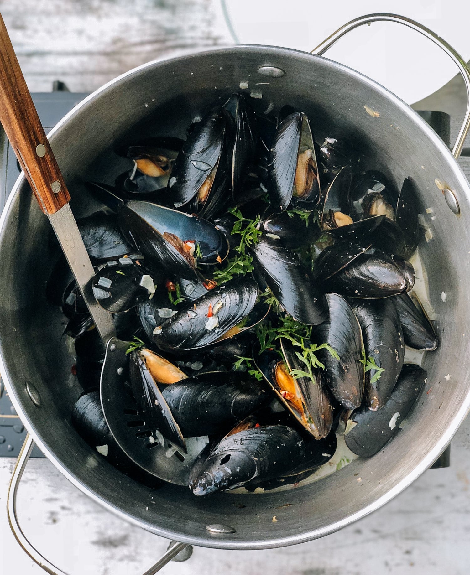 Steamed Mussels, by jcghk.dfhdjkvfj.cf