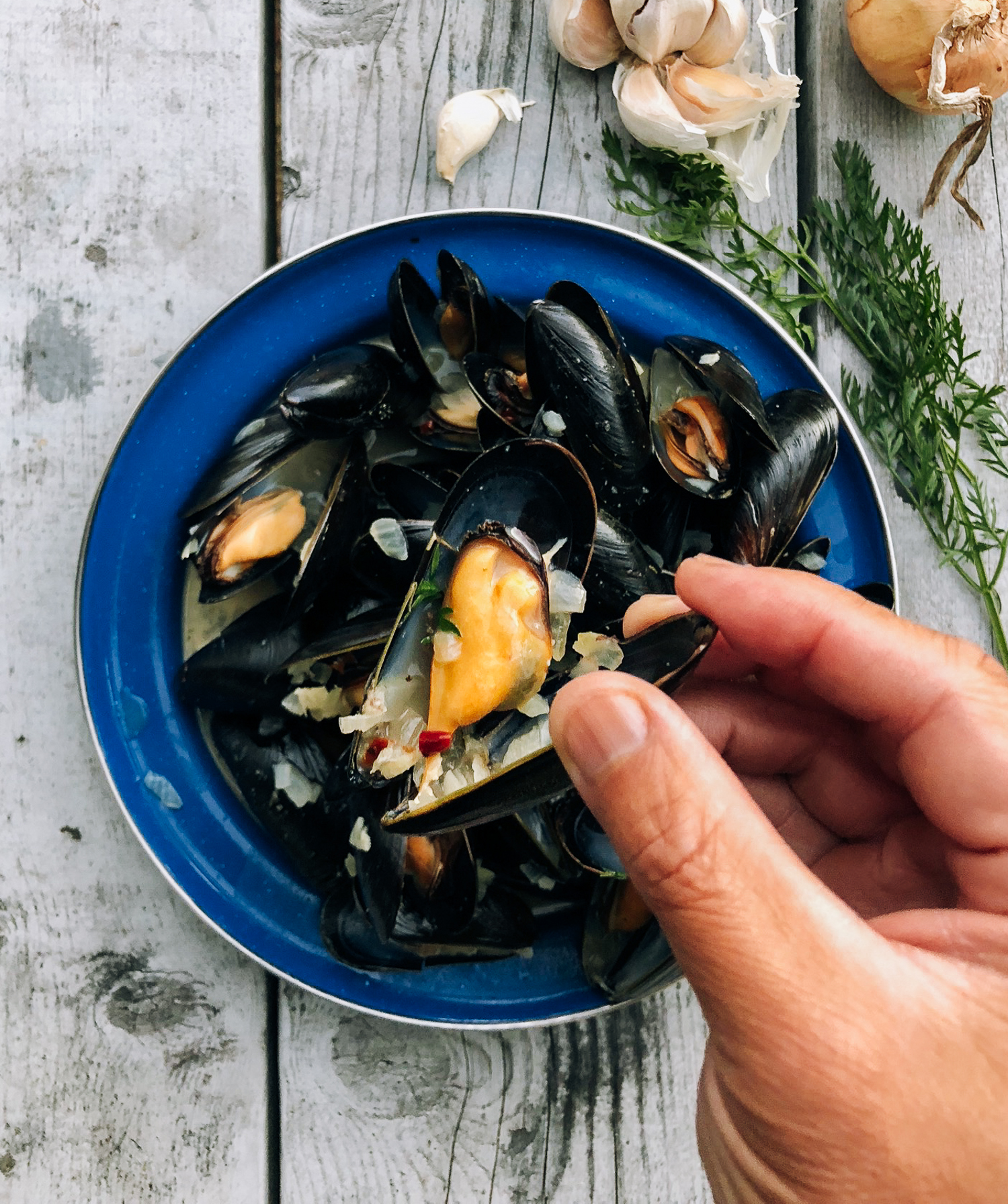 Steamed Mussels, by jcghk.dfhdjkvfj.cf