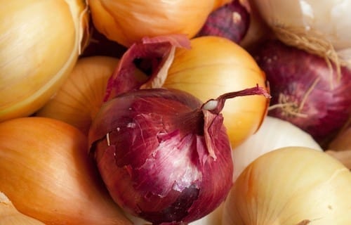 Onions by jcghk.dfhdjkvfj.cf