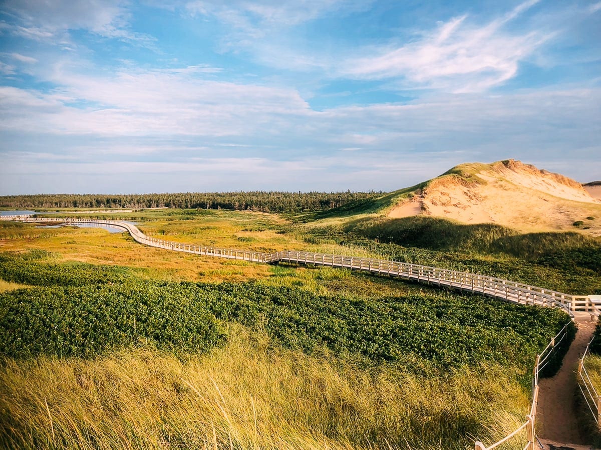 Prince Edward Island Canada - Red Cliffs and Potatoes by jcghk.dfhdjkvfj.cf