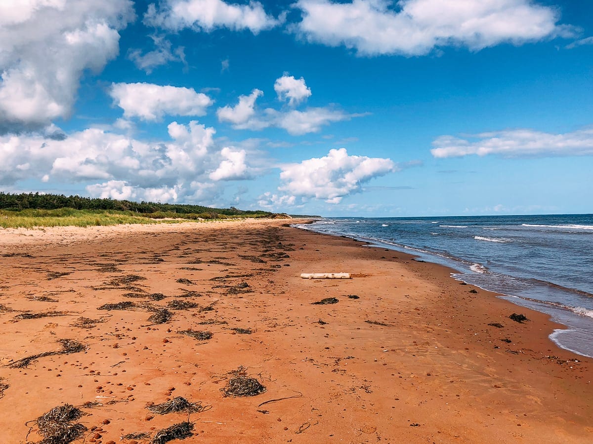 Prince Edward Island Canada - Red Cliffs and Potatoes by jcghk.dfhdjkvfj.cf
