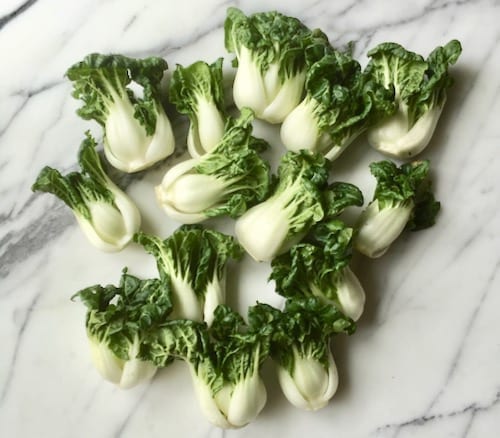 dwarf bok choy by jcghk.dfhdjkvfj.cf