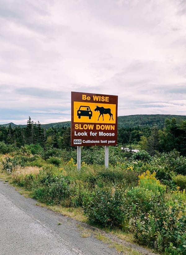 Newfoundland Canada - The Rock by jcghk.dfhdjkvfj.cf