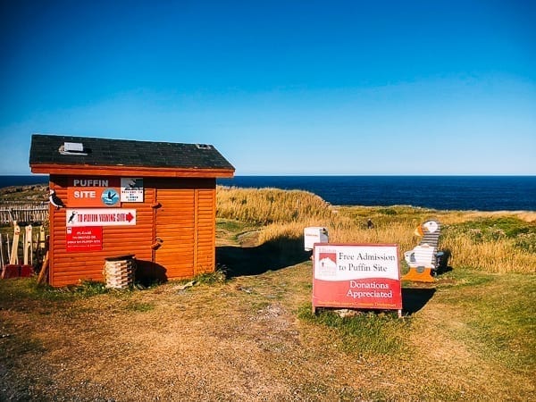 Newfoundland Canada - The Rock by jcghk.dfhdjkvfj.cf