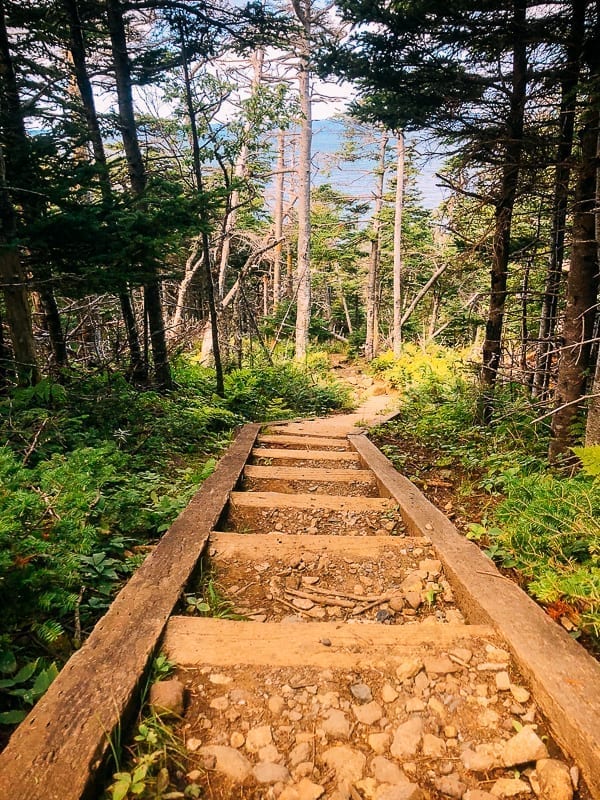 Newfoundland Canada - The Rock by jcghk.dfhdjkvfj.cf